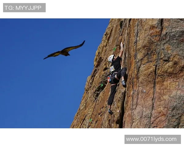 重庆攀岩队快攻打法深度解析与战术应用探讨